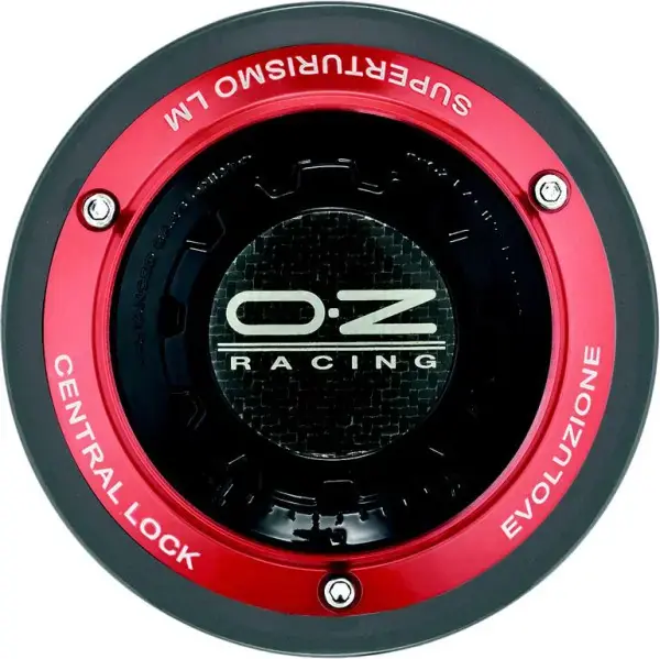 OZ Superturismo LM Evo Centerlock Look - 18" Matt Graphite M. Rød Ring | God pris